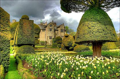 The gardens of Levens Hall set back from the immaculate gardens.