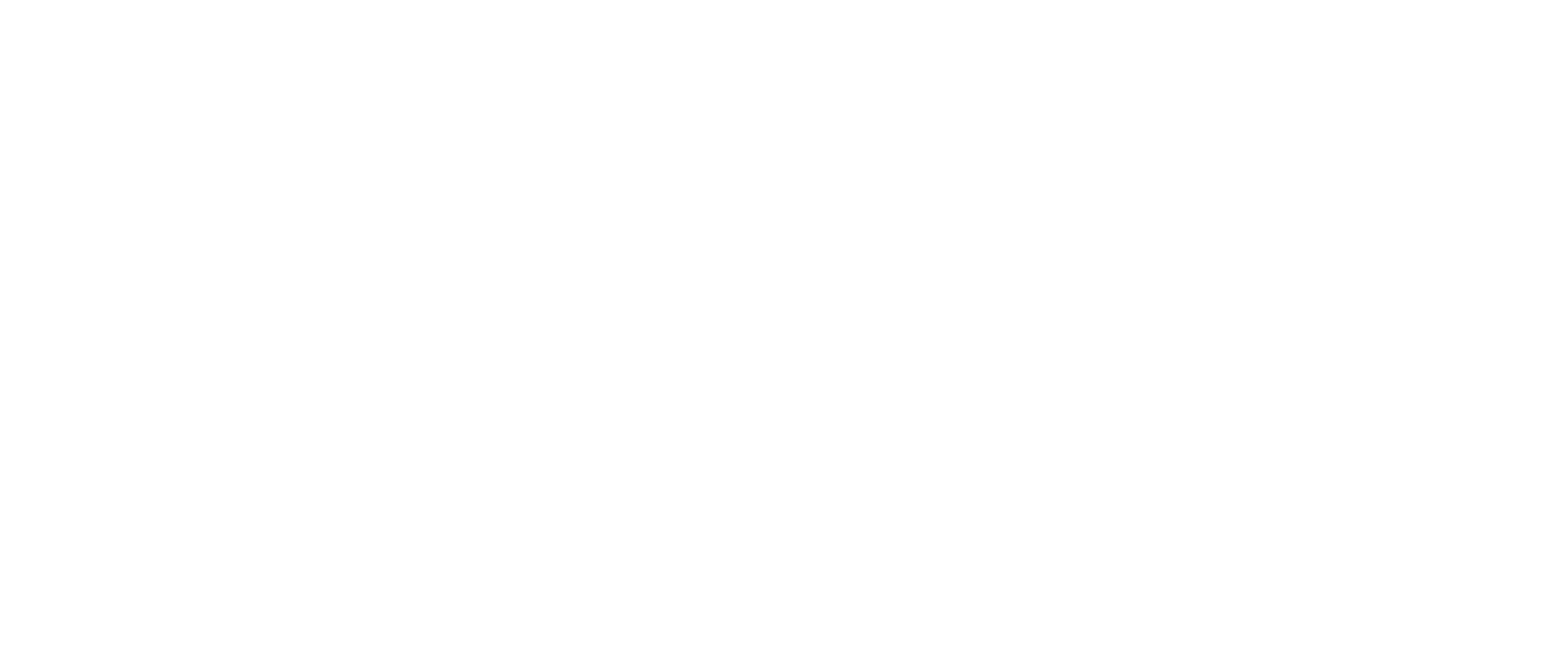 Money Shield Logo